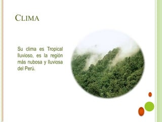 Regiones Naturales del Perú- rupa rupa.pptx
