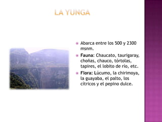  Abarca entre los 500 y 2300
msnm.
 Fauna: Chaucato, taurigaray,
choñas, chauco, tórtolas,
tapires, el lobito de río, etc.
 Flora: Lúcumo, la chirimoya,
la guayaba, el palto, los
cítricos y el pepino dulce.
 