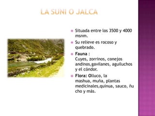  Situada entre los 3500 y 4000
msnm.
 Su relieve es rocoso y
quebrado.
 Fauna :
Cuyes, zorrinos, conejos
andinos,gavilanes, aguiluchos
y el cóndor.
 Flora: Olluco, la
mashua, muña, plantas
medicinales,quinua, sauco, ñu
cho y más.
 
