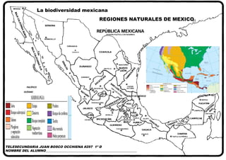 ''
OCÉANO
PACÍFICO
CHIHUAHUA
®
CHIHUAHUA
REPÚBLICA MEXICANA
DIVISIÓN POLÍTICA CON NOMBRES
GOLFO DEMÉXICO
REGIONES NATURALES DE MEXICO
La biodiversidad mexicana
TELESECUNDARIA JUAN BOSCO OCCHIENA #297 1º D
NOMBRE DEL ALUMNO_________________________________________________________
 