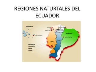 REGIONES NATURTALES DEL
ECUADOR
 