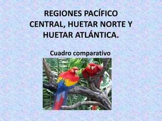 REGIONES PACÍFICO
CENTRAL, HUETAR NORTE Y
HUETAR ATLÁNTICA.
Cuadro comparativo
 