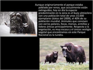 Aunque originariamente el parque estaba
poblado por renos, que actualmente están
extinguidos, hoy en día la especie
predominante en la zona es el buey almizclero
con una población total de unos 15.000
ejemplares (datos del 2009), el 40% de su
población mundial. Animales que conviven
con zorros polares, focas, morsas, armiños y
liebres árticas principalmente. Respecto a la
vegetación, es muy escasa y el únicos vestigio
vegetal que encontramos en este Parque
Nacional es la tundra.

 