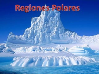 En las Regiones Polares