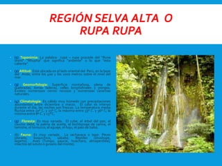 Regiones ricardo | PPTX