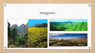 imagenes
 
