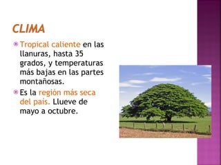 Tropical caliente  en las llanuras, hasta 35 grados, y temperaturas más bajas en las partes montañosas. Es la  región más seca del país.  Llueve de mayo a octubre. 