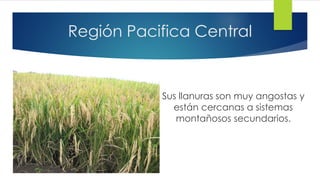 Región Pacifica Central
Sus llanuras son muy angostas y
están cercanas a sistemas
montañosos secundarios.
 