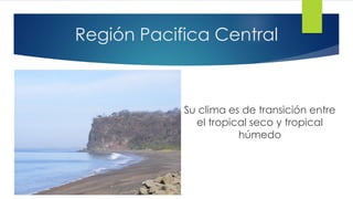 Región Pacifica Central
Su clima es de transición entre
el tropical seco y tropical
húmedo
 