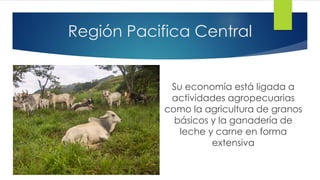 Región Pacifica Central
Su economía está ligada a
actividades agropecuarias
como la agricultura de granos
básicos y la ganadería de
leche y carne en forma
extensiva
 