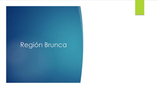 Región Brunca
 