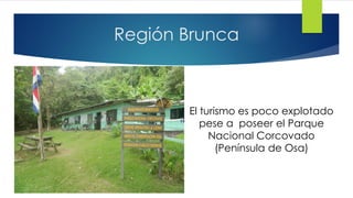 Región Brunca
El turismo es poco explotado
pese a poseer el Parque
Nacional Corcovado
(Península de Osa)
 