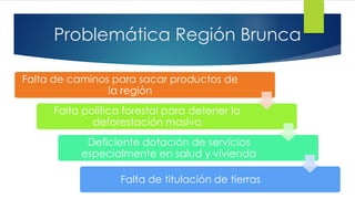 Problemática Región Brunca
Falta de caminos para sacar productos de
la región
Falta política forestal para detener la
deforestación masiva
Deficiente dotación de servicios
especialmente en salud y vivienda
Falta de titulación de tierras
 