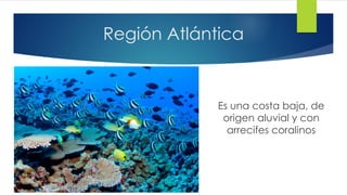 Región Atlántica
Es una costa baja, de
origen aluvial y con
arrecifes coralinos
 