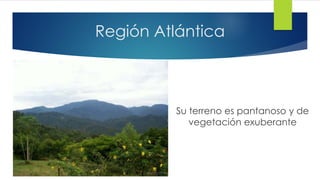 Región Atlántica
Su terreno es pantanoso y de
vegetación exuberante
 