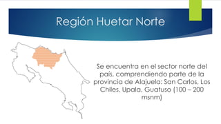 Región Huetar Norte
Se encuentra en el sector norte del
país, comprendiendo parte de la
provincia de Alajuela: San Carlos, Los
Chiles, Upala, Guatuso (100 – 200
msnm)
 