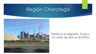 Región Chorotega
Destaca el algodón, frutas y
la caña de azúcar (CATSA)
 