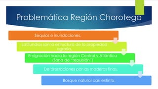 Problemática Región Chorotega
Sequías e inundaciones.
Latifundios son la estructura de la propiedad
agraria.
Emigración hacia la región Central y Atlántica
(Zona de “repulsión”)
Deforestaciones por las maderas finas.
Bosque natural casi extinto.
 