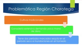 Problemática Región Chorotega
Cultivos tradicionales
Ganadería extensiva demanda poca mano
de obra.
Tiene dos períodos marcados sequía en el
período seco e inundaciones en el húmedo
 