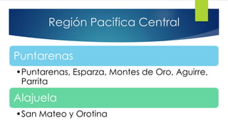Región Pacifica Central
Puntarenas
•Puntarenas, Esparza, Montes de Oro, Aguirre,
Parrita
Alajuela
•San Mateo y Orotina
 