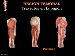 REGIÓN FEMORALREGIÓN FEMORAL
Trayectos en la regiónTrayectos en la región
Atlas Sobotta
Posterior
 