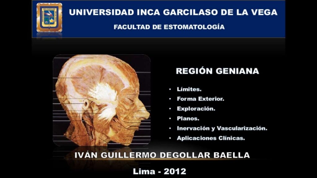 REGIÓN GENIANA