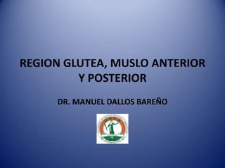 REGION GLUTEA, MUSLO ANTERIOR
Y POSTERIOR
DR. MANUEL DALLOS BAREÑO
 
