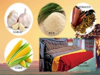 GARLIC
CORN
RICE
TOBACCO
LOOM
WEAVING
 