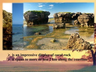 is an impressive display of coral rock
 it spans to more or less 2 km along the coastline
 