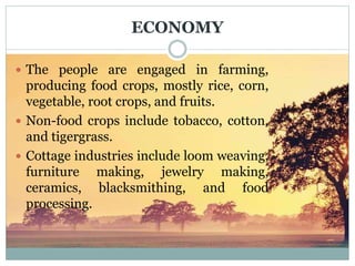 ECONOMY
 The people are engaged in farming,
producing food crops, mostly rice, corn,
vegetable, root crops, and fruits.
 Non-food crops include tobacco, cotton,
and tigergrass.
 Cottage industries include loom weaving,
furniture making, jewelry making,
ceramics, blacksmithing, and food
processing.
 