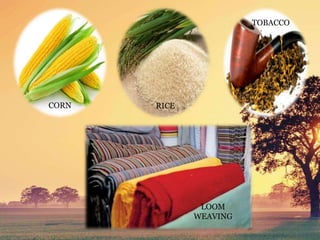 CORN RICE
TOBACCO
LOOM
WEAVING
 