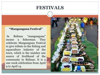 Pista’y Dayat Festival
Pangasinenses and visitors alike
take to the beaches to celebrate
Pista’y Dayat. Revellers enjoy the
traditional offering of the mass on
the beach, fluvial parade, marathon
and the selection of "Lingas na
Dayat" with the event center at the
Lingayen Public Beach.
FESTIVALS
Mango-Bamboo Festival
is not just meant to be a festival or
entertainment event. It was called
Mango-Bamboo Festival because
the two products have a greater
chance to compete in the world
market.
Finally in April 2001, a strategy to
showcase the Mango-Bamboo
Festival was launched.
Bangus Festival
In celebration of the bountiful
harvest of milk fish in the area,
town comes live with activities
such as the longest grill, street
dancing and 101 ways of
cooking bangus.
“Mangunguna Festival”
In Bolinao “mangunguna”
means a fisherman. They
celebrate Mangunguna Festival
to give tribute to the fishing and
aquaculture industry of the
town, which is the number one
source of livelihood of the
community in Bolinao. It is a
one week celebration from April
9 to April 14.
 