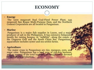 ECONOMY
 Energy
The 1200 megawatt Sual Coal-Fired Power Plant, 345
megawatt San Roque Multi-Purpose Dam, and the Northern
Cement Corporation are all located in Pangasinan.
 Marine
Pangasinan is a major fish supplier in Luzon, and a major
producer of salt in the Philippines. It has extensive fishponds,
mostly for raising bangus, or “milkfish”, along the coasts of
the Lingayen Gulf and the South China Sea. Pangasinan’s
aquaculture includes oyster and sea urchin farms.
 Agriculture
The major crops in Pangasinan are rice, mangoes, corn, and
sugar cane. Pangasinan has a land area of 536,819 hectares,
and 44 percent of the total land area of Pangasinan is devoted
to agricultural production.
 