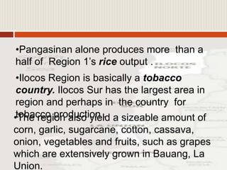 •Pangasinan alone produces more than a
half of Region 1’s rice output .
•Ilocos Region is basically a tobacco
country. Ilocos Sur has the largest area in
region and perhaps in the country for
tobacco production .•The region also yield a sizeable amount of
corn, garlic, sugarcane, cotton, cassava,
onion, vegetables and fruits, such as grapes
which are extensively grown in Bauang, La
Union.
 