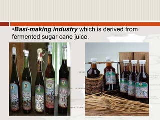 •Basi-making industry which is derived from
fermented sugar cane juice.
 