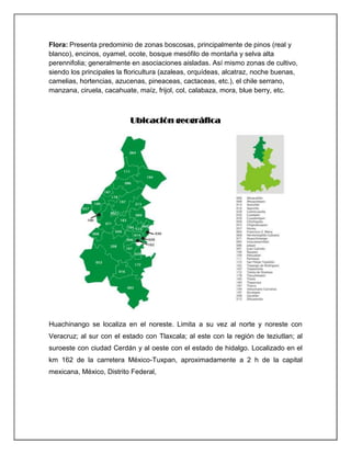 Region i de huachinango