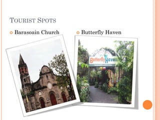 TOURIST SPOTS
 Barasoain Church  Butterfly Haven
 
