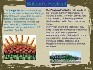 Bataan’s Festival
The Banga Festival is a week long
event celebrated in the city of Balanga
City, Bataan. It is said that the name
Balanga, came from the word
“banga,” the tagalong term for pot
used in cooking. The festival is
celebrated alongside the feast of St.
Joseph in April 28.
The Pawikan Festival is held yearly at
the Pawikan Conservation Center in
Morong, Bataan. The main activity here
is the releasing of the baby pawikan,
which are hatched in the conservation
center.
Every year, during the festivities, they
invite visitors and thousands of students
from the provinces to promote
awareness and also be treated to some
street dancing, sand sculptures, a
showcase of local products, and
witnessing how the hatchlings go back
to the sea.
 
