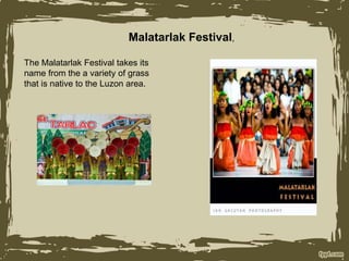 Malatarlak Festival,
The Malatarlak Festival takes its
name from the a variety of grass
that is native to the Luzon area.
 