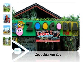 Zoocobia Fun Zoo
 