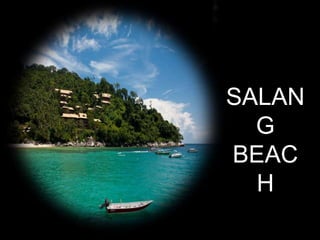 SALAN
G
BEAC
H
 