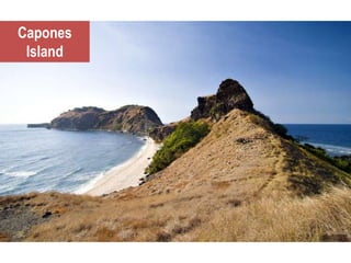Capones
Island
 
