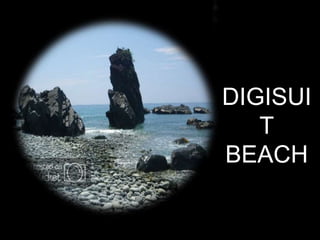 DIGISUI
T
BEACH
 