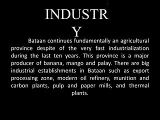 INDUSTR
YBataan continues fundamentally an agricultural
province despite of the very fast industrialization
during the last ten years. This province is a major
producer of banana, mango and palay. There are big
industrial establishments in Bataan such as export
processing zone, modern oil refinery, munition and
carbon plants, pulp and paper mills, and thermal
plants.
 