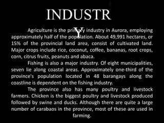 INDUSTR
YAgriculture is the primary industry in Aurora, employing
approximately half of the population. About 49,991 hectares, or
15% of the provincial land area, consist of cultivated land.
Major crops include rice, coconut, coffee, bananas, root crops,
corn, citrus fruits, peanuts and abaca.
Fishing is also a major industry. Of eight municipalities,
seven lie along coastal areas. Approximately one-third of the
province's population located in 48 barangays along the
coastline is dependent on the fishing industry.
The province also has many poultry and livestock
farmers. Chicken is the biggest poultry and livestock produced
followed by swine and ducks. Although there are quite a large
number of carabaos in the province, most of these are used in
farming.
 