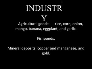 INDUSTR
YAgricultural goods: rice, corn, onion,
mango, banana, eggplant, and garlic.
Fishponds.
Mineral deposits; copper and manganese, and
gold.
 