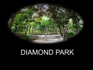 DIAMOND PARK
 