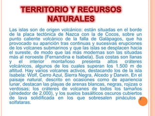 Las islas son de origen volcánico: están situadas en el borde
de la placa tectónica de Nazca con la de Cocos, sobre un
punto caliente volcánico de la falla de Galápagos, que ha
provocado su aparición tras continuas y sucesivas erupciones
de los volcanes submarinos y que las islas se desplacen hacia
el sureste, de modo que las más modernas son las situadas
más al noroeste (Fernandina e Isabela). Sus costas son llanas
y     el  interior   montañoso     presenta    altos   cráteres
volcánicos, algunos de los cuales superan los 1.500 m de
altitud. Hay varios volcanes activos, destacando los de la isla
Isabela: Wolf, Cerro Azul, Sierra Negra, Alcedo y Darwin. En el
paisaje natural, descrito en ocasiones como de apariencia
lunar, destacan las playas de arenas blancas, negras, rojizas o
verdosas; los cráteres de volcanes de todos los tamaños
(alrededor de 2.000), y los suelos basálticos oscuros cubiertos
de lava solidificada en los que sobresalen pináculos y
solfataras.
 