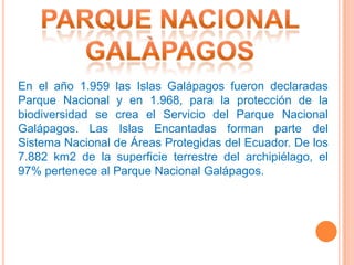 En el año 1.959 las Islas Galápagos fueron declaradas
Parque Nacional y en 1.968, para la protección de la
biodiversidad se crea el Servicio del Parque Nacional
Galápagos. Las Islas Encantadas forman parte del
Sistema Nacional de Áreas Protegidas del Ecuador. De los
7.882 km2 de la superficie terrestre del archipiélago, el
97% pertenece al Parque Nacional Galápagos.
 