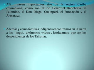  Allí nacen importantes ríos de la región Caribe
colombiana, como son el río Cesar, el Ranchería, el
Palomino, el Don Diego, Guatapurí, el Fundación y el
Aracataca.
 Además y como familias indígenas encontramos en la sierra
a los kogui, arahuacos, wiwas y kankuamos que son los
descendientes de los Taironas.
 